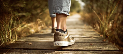 walking foot- blog post image
