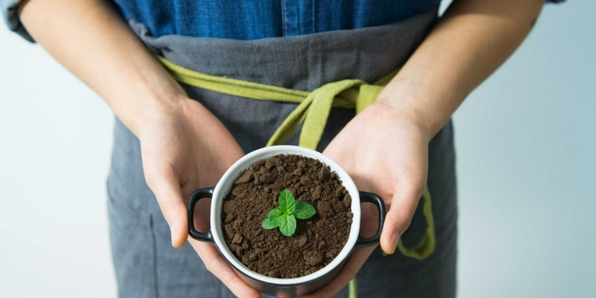 why-e-commerce-businesses-need-to-switch-to-more-sustainable-practices