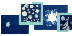 Cyanography photographs